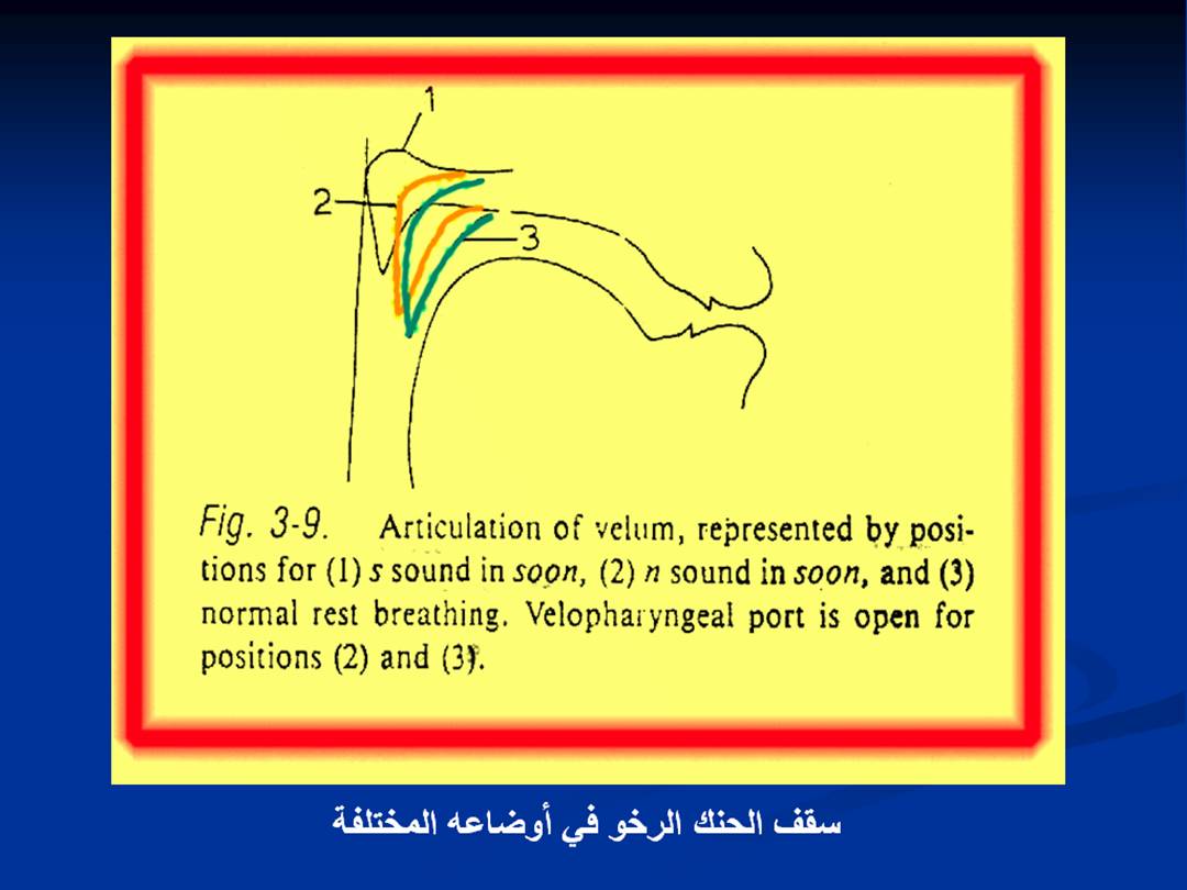 تجويد الحرف - مخارج الحروف